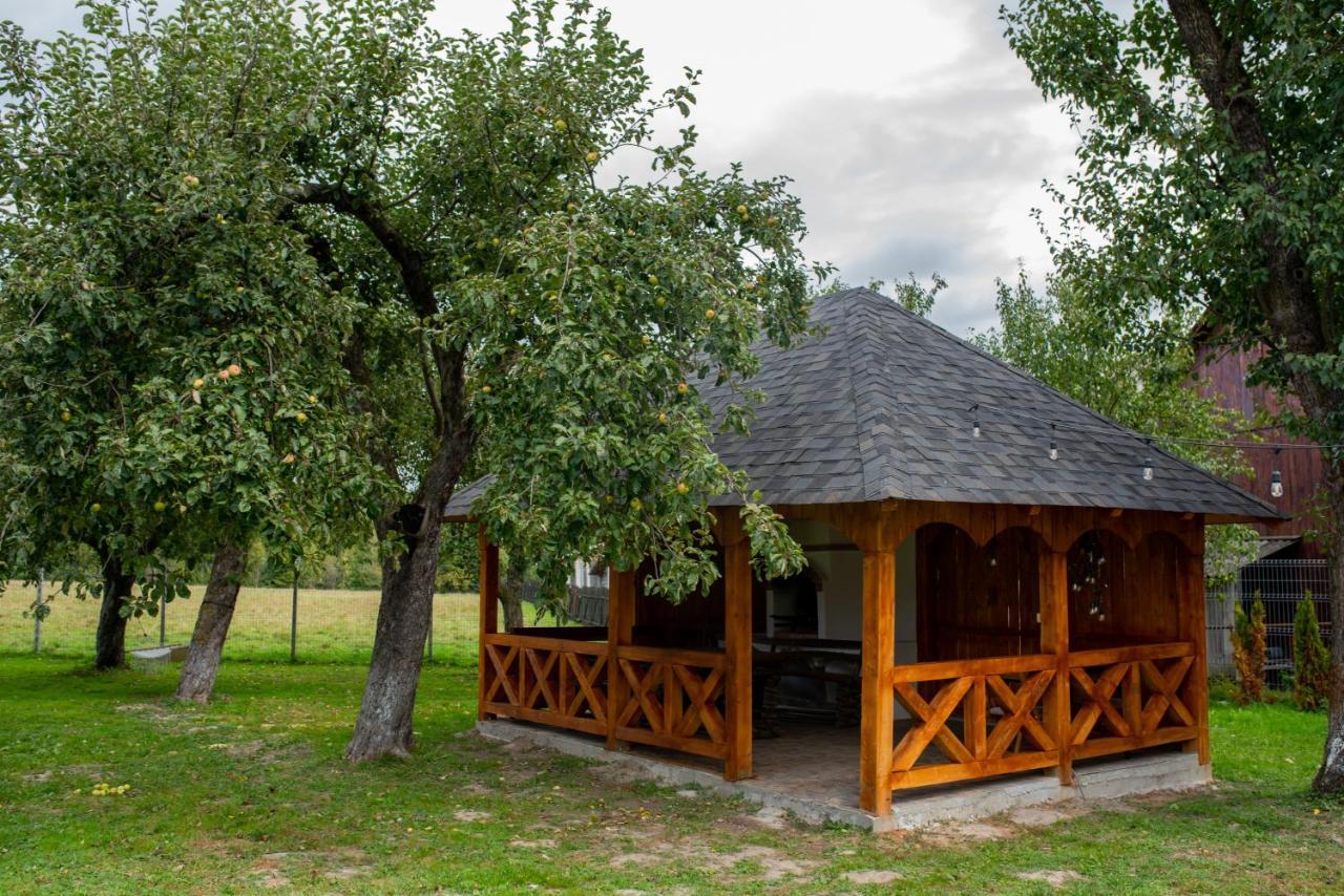 Hotel Casa Strabunicului Partestii de Sus  Exterior foto
